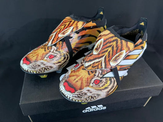 Predator Tongue x Y-3 Elite FG