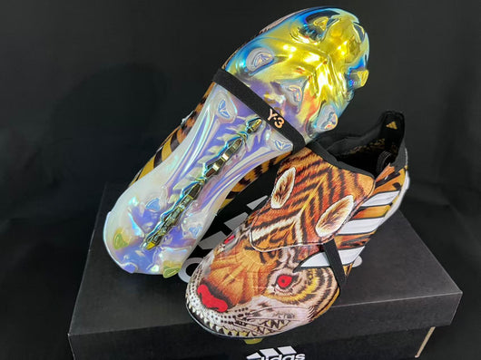 Predator Tongue x Y-3 Elite FG