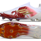 F50 Laceless Elite FG