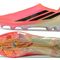 F50 World Cup Hyperfast Laceless Elite FG